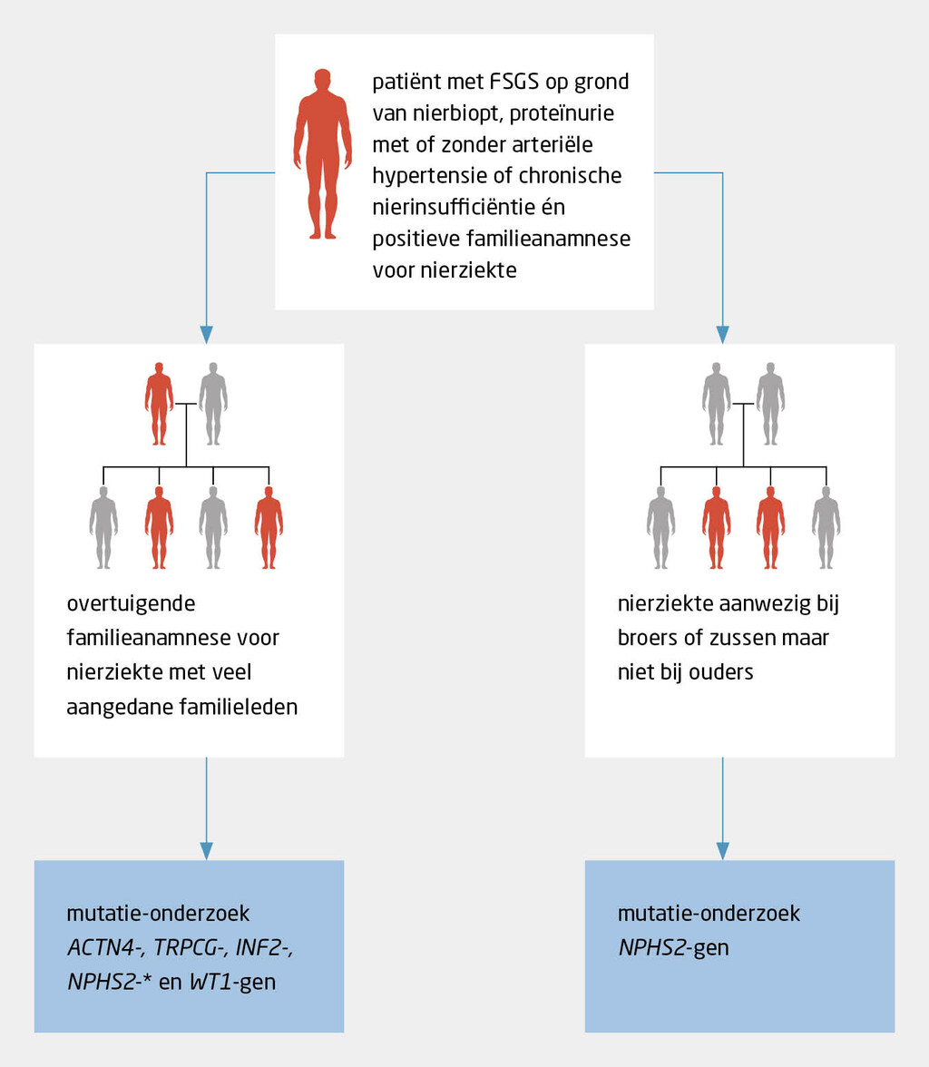 Figuur 5 | Wat te doen bij verdenking erfelijke vormen van FSGS? | Algoritme voor snellere herkenning van patiënten met aanwijzingen voor een erfelijke vorm van focale segmentale glomerulosclerose (FSGS).