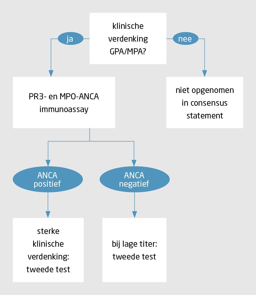 Figuur 1 | Algoritme voor diagnostiek bij ANCA-geassocieerde vasculitis