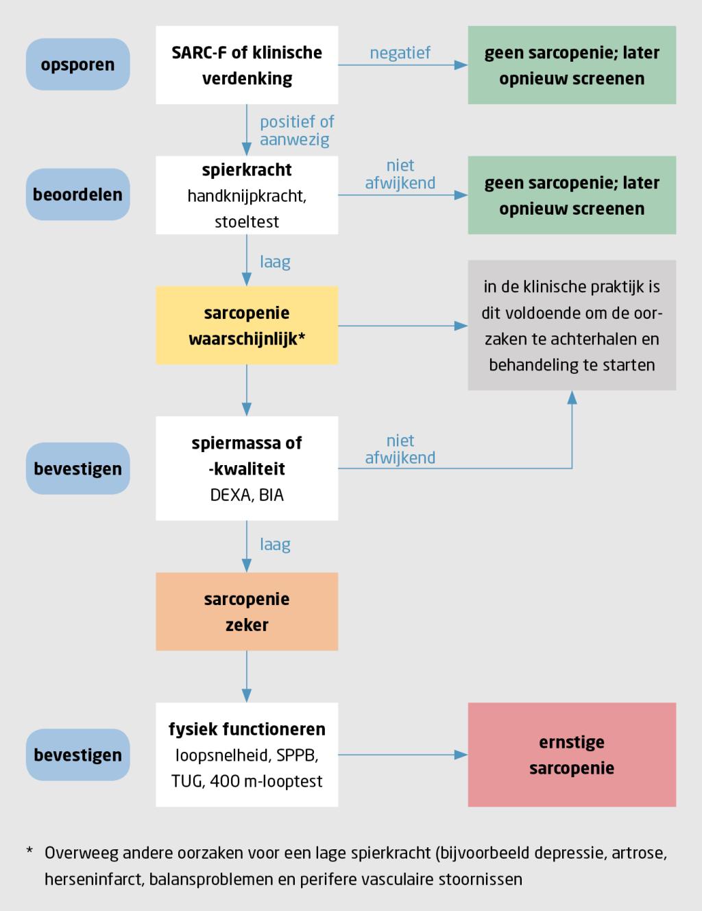 Figuur | Beslisboom voor de diagnose ‘sarcopenie’