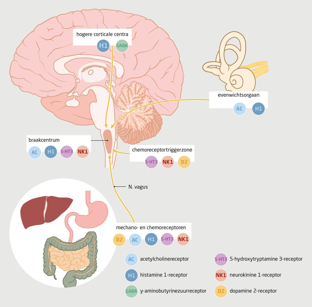 Figuur | Pathogenese van misselijkheid