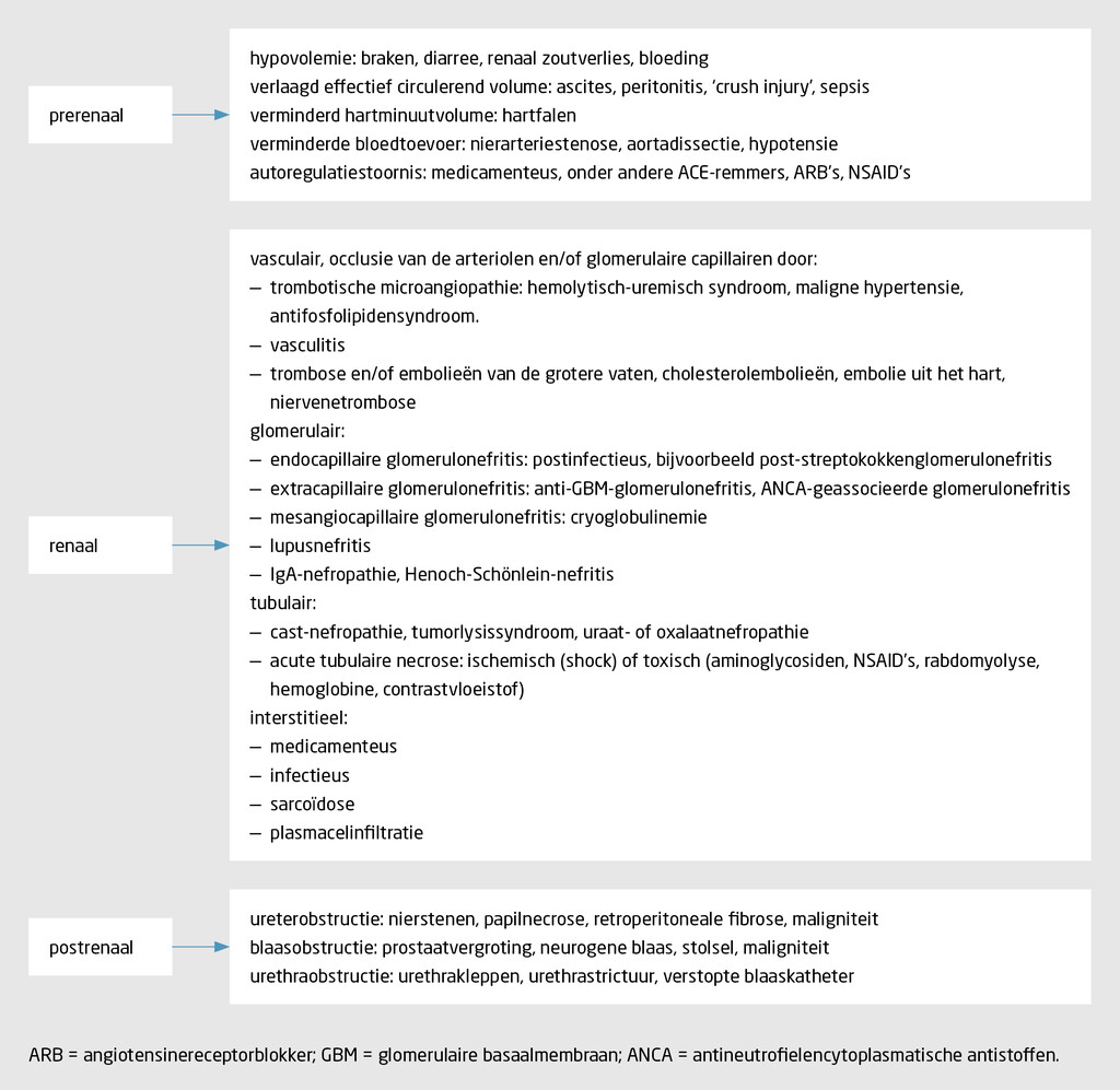 Figuur 1 | Classificatie acute nierschade volgens het Acute Boekje12