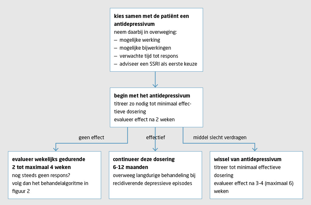 Figuur 1 | Algemene aanpak wanneer de patiënt begint met een antidepressivum