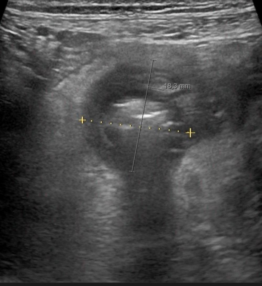 Week 3 D6328_F1bq.jpg