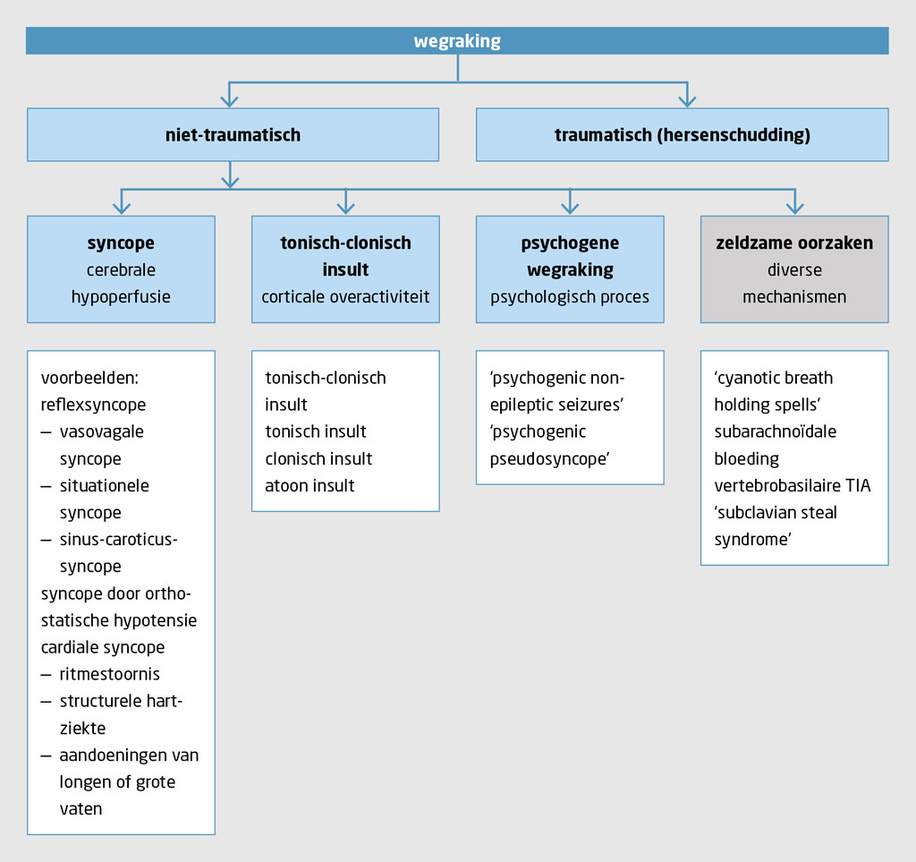 Figuur 2 | Classificatie van wegrakingen