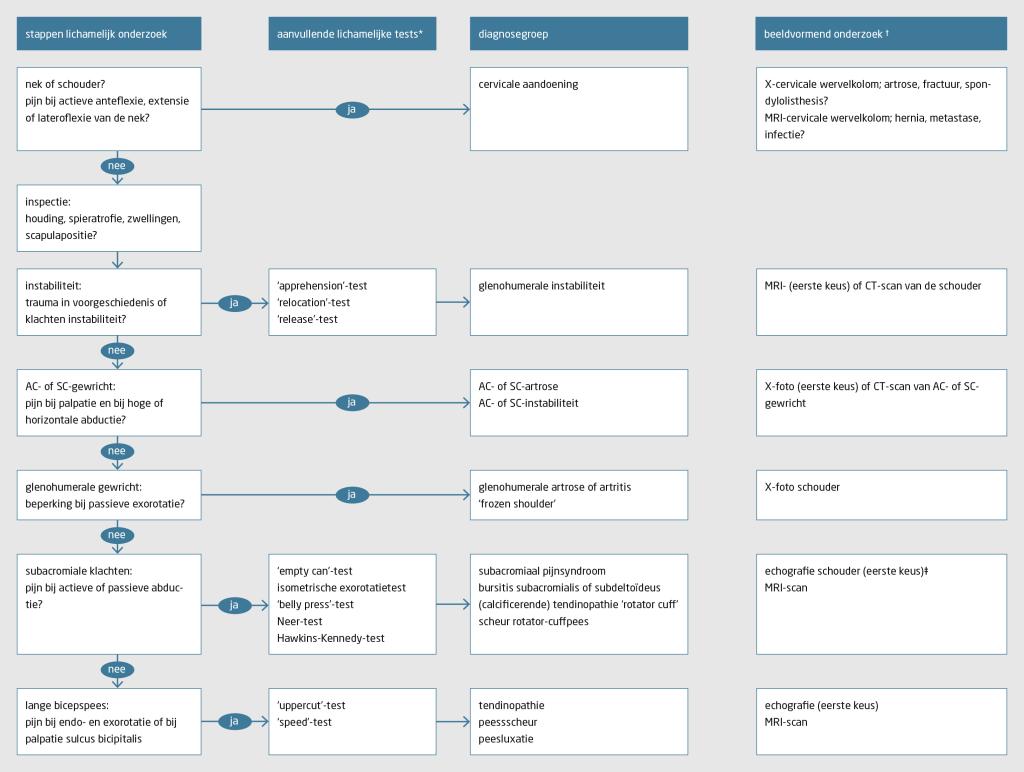Figuur 3 | Stroomdiagram diagnostiek bij schouderklachten