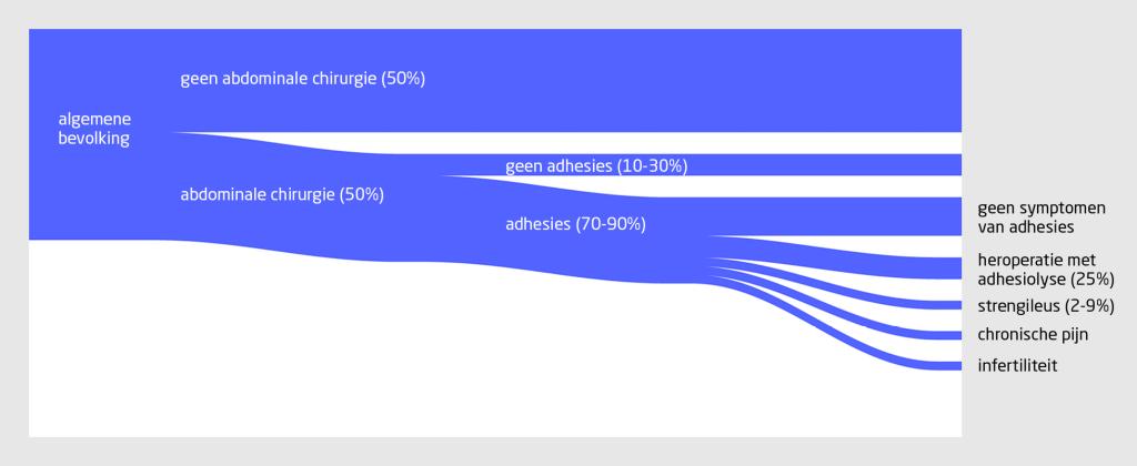 Figuur 1 | Het levenslange (‘life-time’) risico op adhesies en gerelateerde aandoeningen