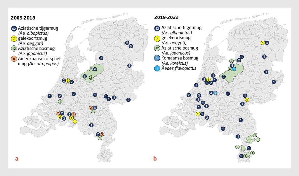 Figuur 2 | Waarnemingen van exotische muggen in Nederland