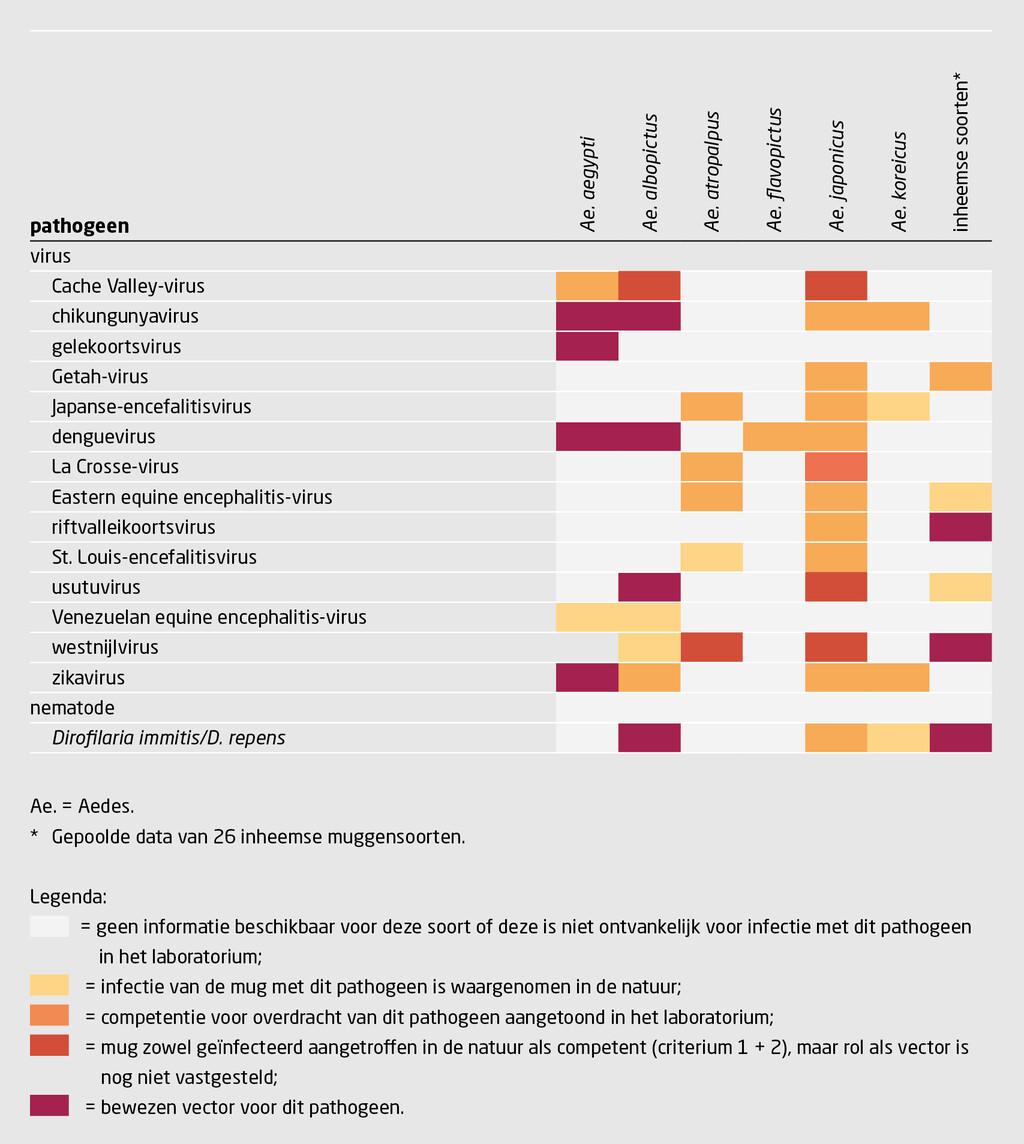 Tabel | Welke ziekten kunnen muggen in Nederland overbrengen? | Vectorstatus van de zes in Nederland waargenomen exotische muggensoorten en inheemse muggensoorten