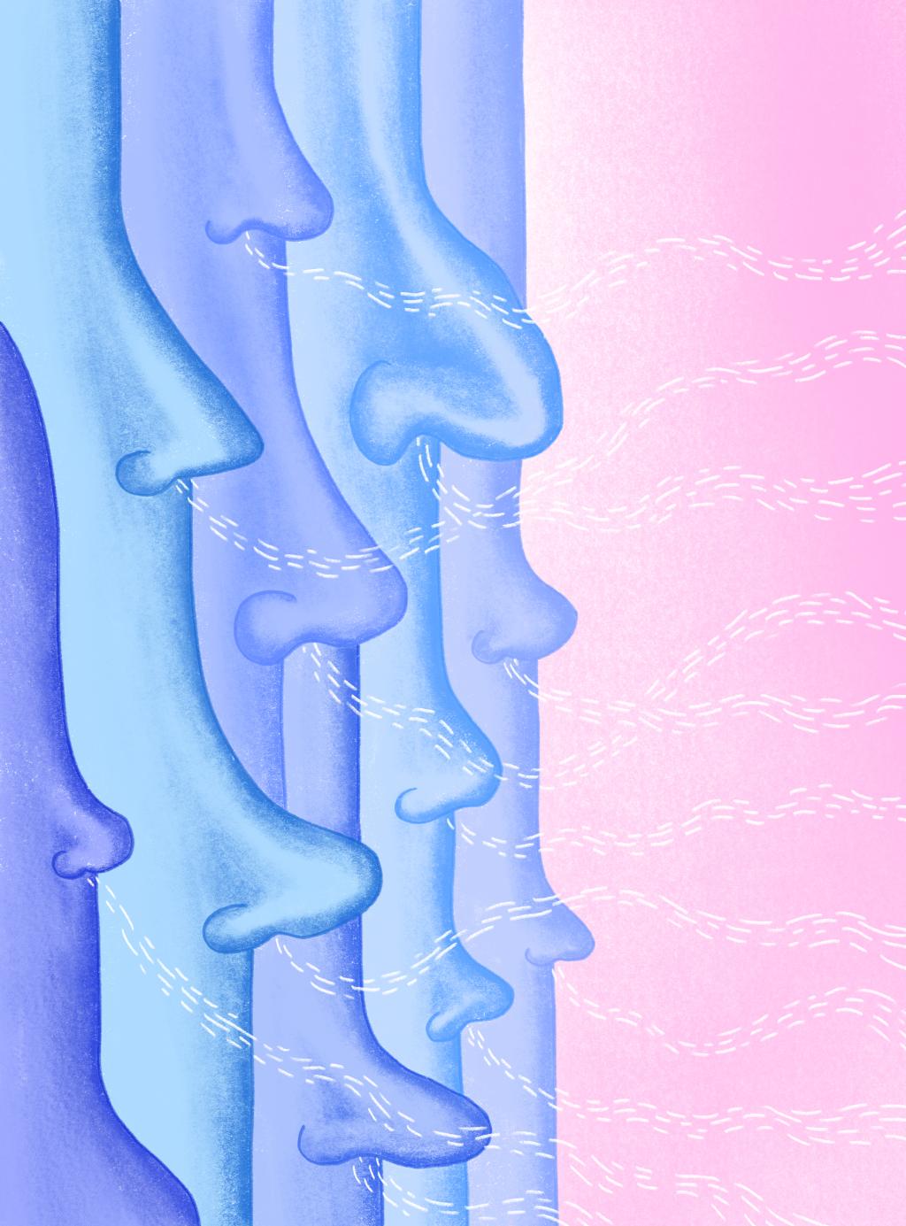 Illustratie van verschillende neuzen