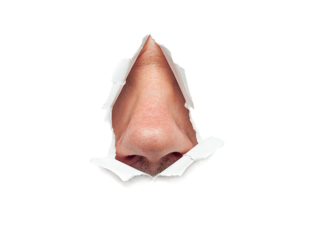 Illustratie van een neus 