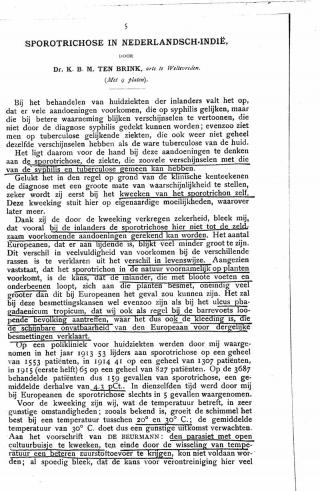 Eerste pagina van het artikel zoals het is gepubliceerd in het tijdschrift