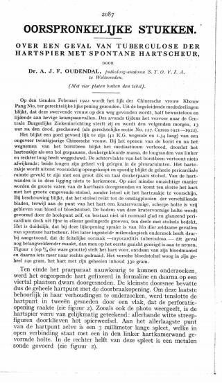 Eerste pagina van het artikel zoals het is gepubliceerd in het tijdschrift