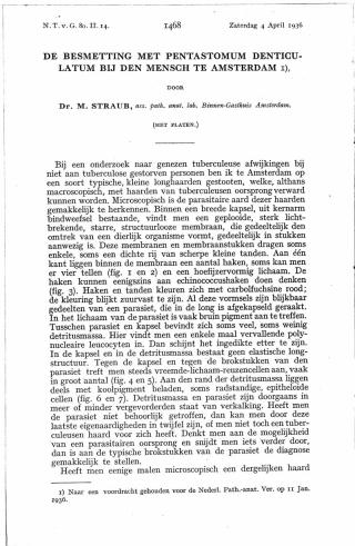 Eerste pagina van het artikel zoals het is gepubliceerd in het tijdschrift