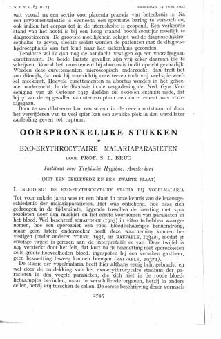 Eerste pagina van het artikel zoals het is gepubliceerd in het tijdschrift