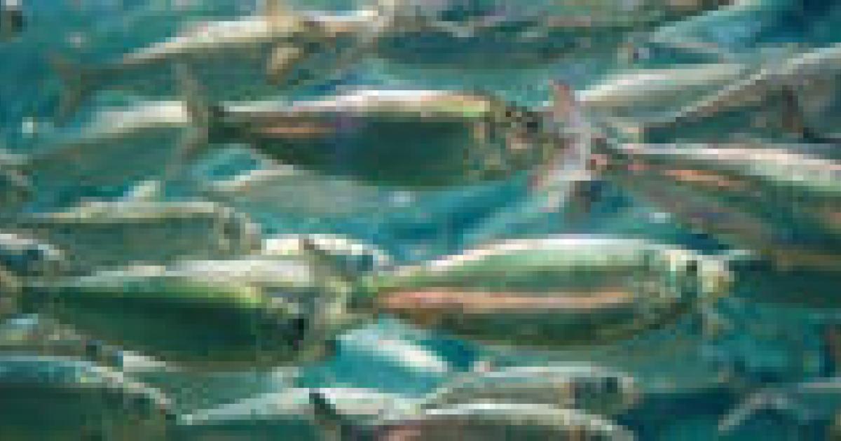 Geen meerwaarde omega3 en 6vetzuren bij behandeling ADHD NTVG